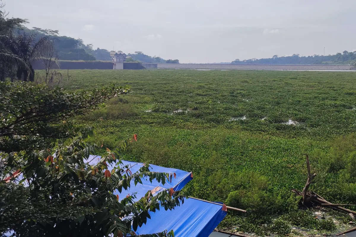 1 Tahun Dipenuhi Eceng Gondok, Wisata Bendungan Leuwikeris Ciamis Kehilangan Pengunjung – jabarekspres.com