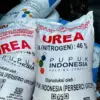 Stok Pupuk RI Tak Terpengaruh Penutupan Selat Hormuz?