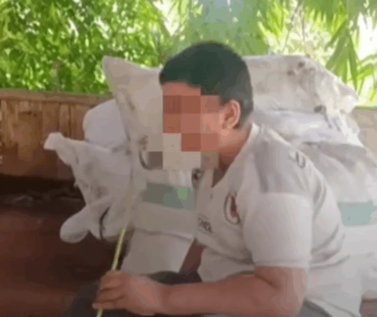 Viral Bocah di Bandung Barat Punya Kebiasaan Makan Rumput dan Daun – jabarekspres.com