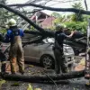Terulang Lagi! Pohon Tumbang di Kota Bandung Timpa 2 Mobil 