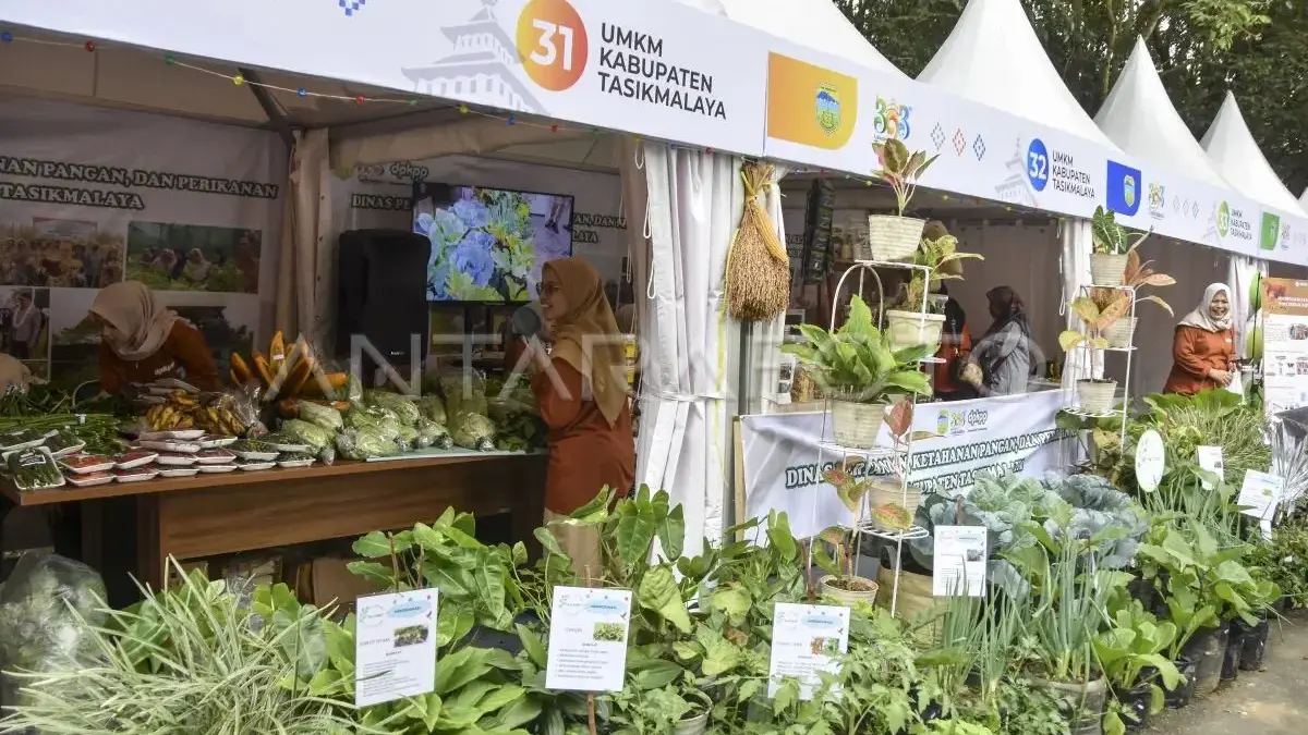 Akses Modal Makin Mudah: 7.000 UMKM Baru di Tasikmalaya Bakal Dapat Pinjaman Nol Bunga UMKM dan festival kuliner \"street food festival\" di Gebu Singaparna, Kabupaten Tasikmalaya, Jawa Barat, Jumat
