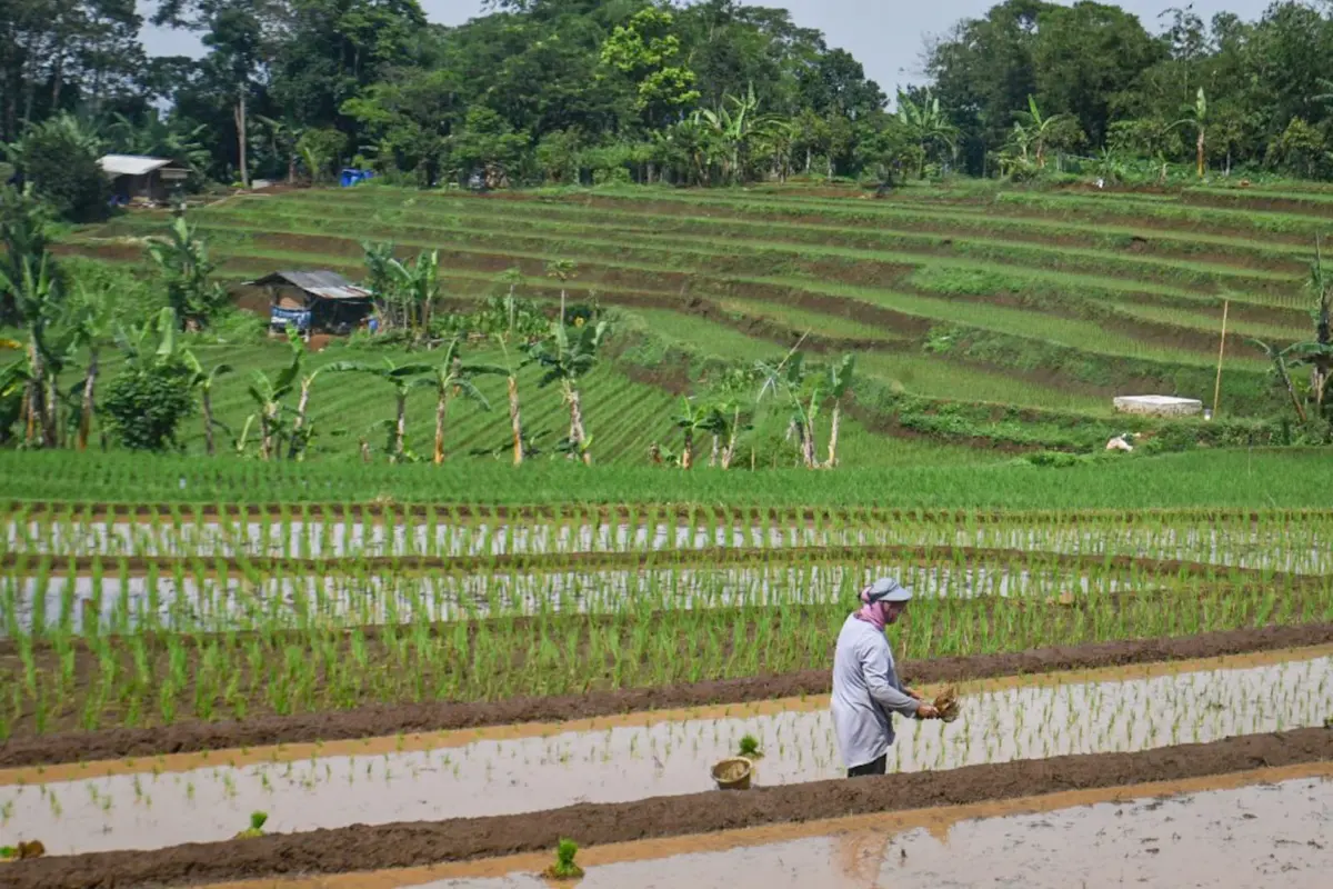DPUPR Cimahi Ingatkan Pengembang, KDH dan Fasos-Fasum Wajib Dipenuhi! – jabarekspres.com