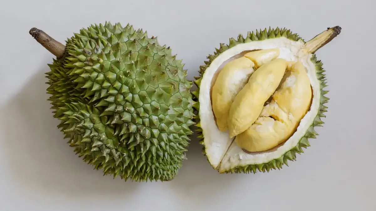 Peluang Cuan Besar bagi Indonesia, Barantin Ekspor Langsung Durian Beku ke China