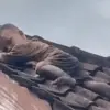 Viral Balita Nekat Merayap di Atas Genteng, Warga Panik dan Berteriak Histeris