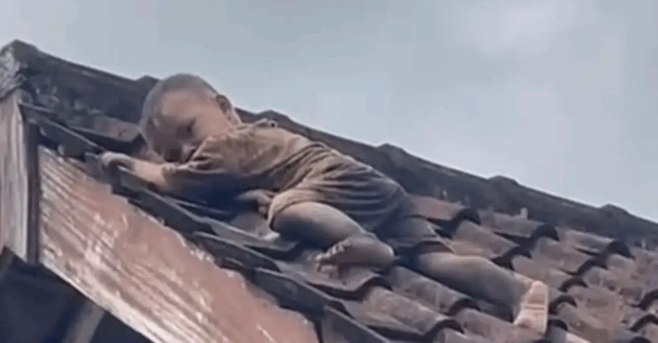 Viral Balita Nekat Merayap di Atas Genteng, Warga Panik dan Berteriak Histeris – jabarekspres.com