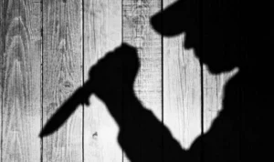 Cekcok Berujung Maut, Seorang Wanita di Bandung Kidul Meninggal Dunia Usai Ditusuk Mantan Kakak Ipar 