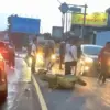 Kecelakaan adu banteng antara Honda Scoopy dan Mitsubishi Xpander terjadi di Jalan Raya Puncak, tepatnya di De