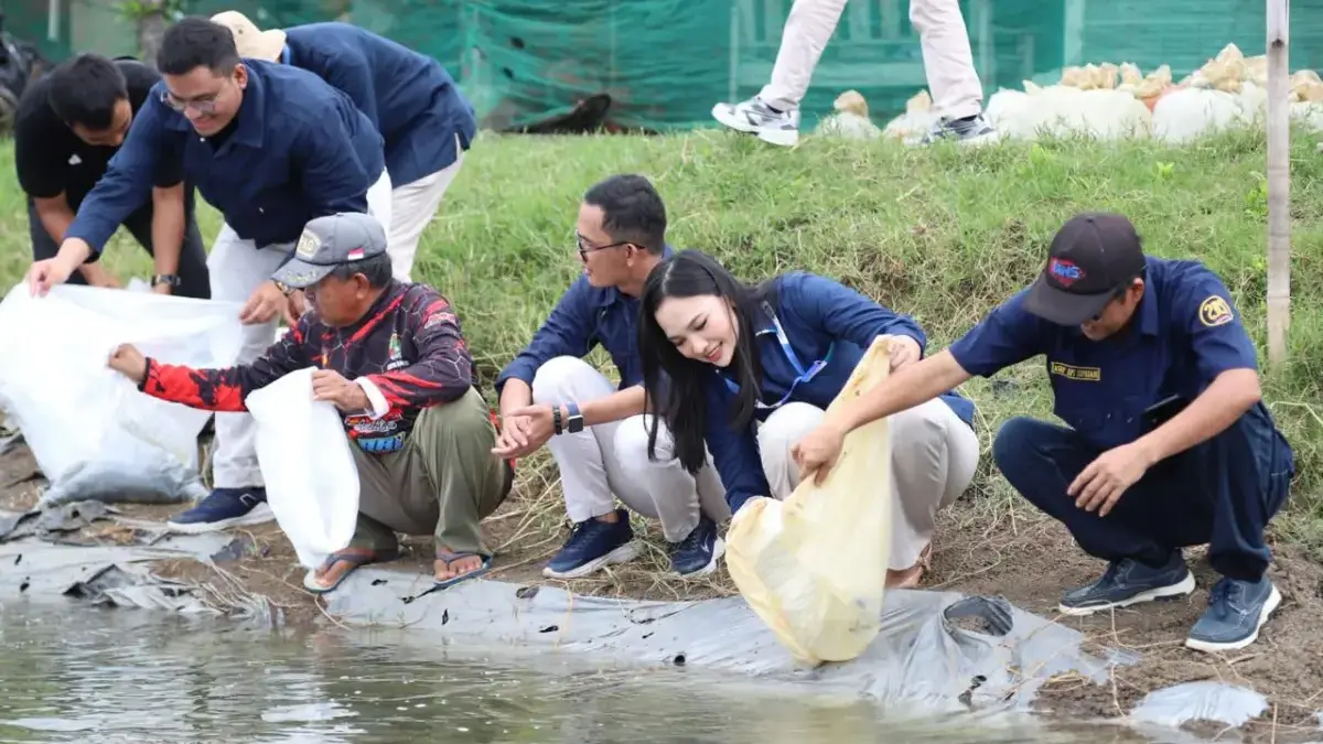 Agrinas Jaladri Salurkan 19.500 Benih Ikan Nila Salin untuk Pembudidaya di Subang