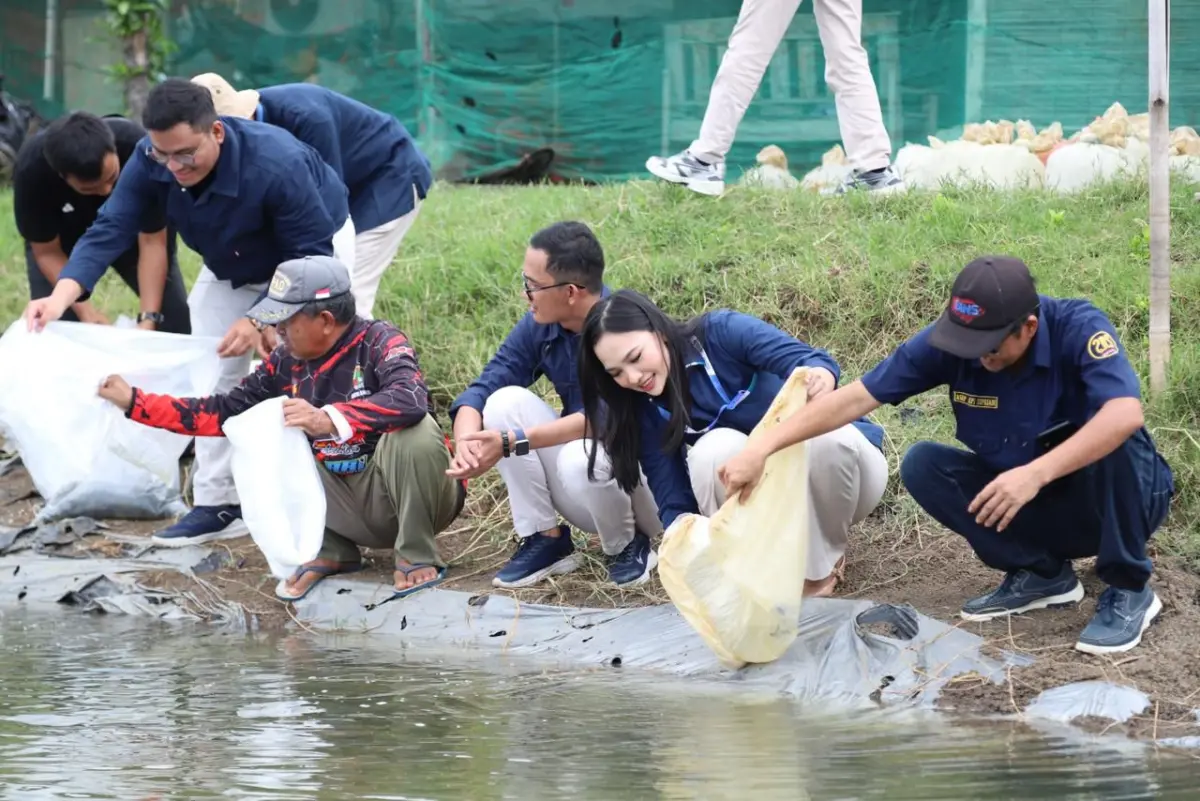 Agrinas Jaladri Salurkan 19.500 Benih Ikan Nila Salin untuk Pembudidaya di Subang – jabarekspres.com