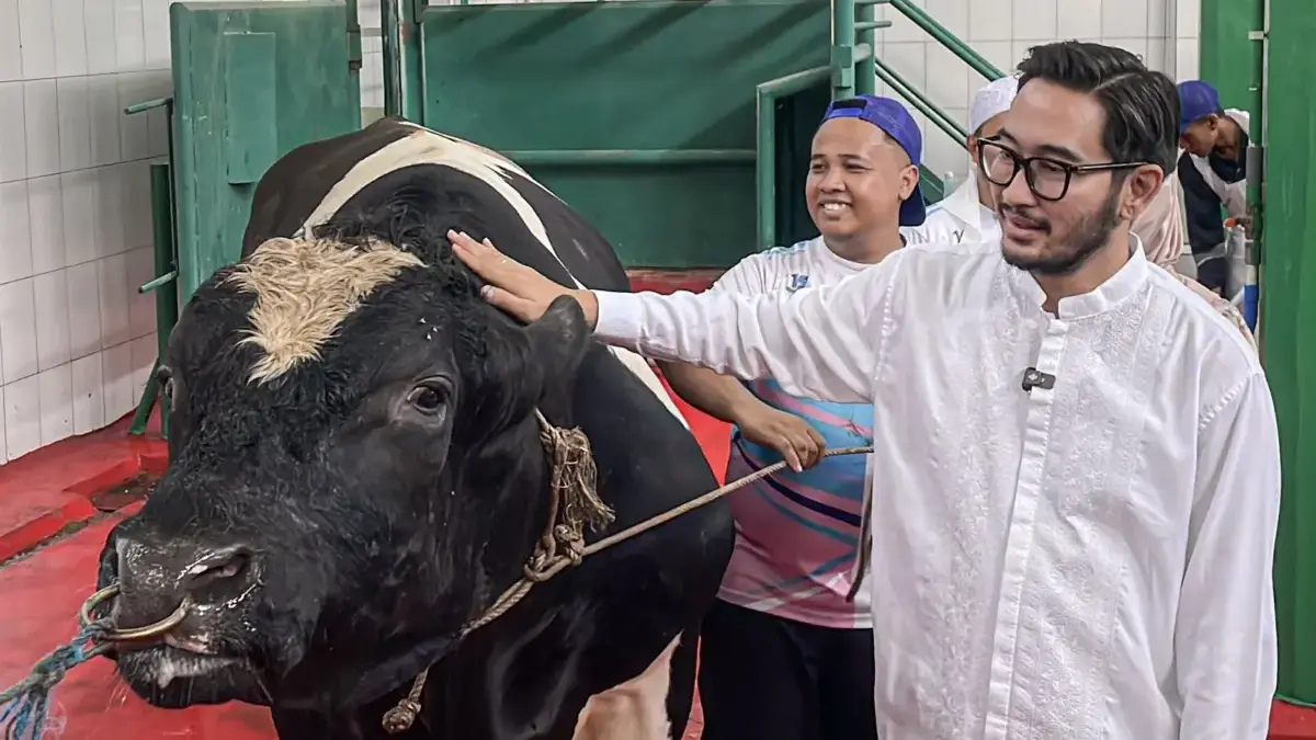Jeje Ritchie Pantau Langsung Proses Pemotongan Hewan Kurban di RPH KBB Jeje Ritchie Pantau Langsung Proses Pemotongan Hewan Kurban di RPH KBB