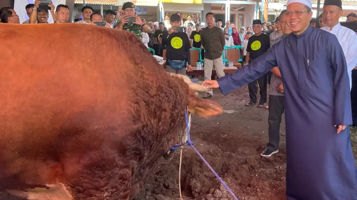 Bupati Bandung Dadang Supriatna saat meninjau pemotongan kurban bantuan Presiden RI Prabowo Subianto kepada ma