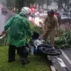 Tragis! Pemotor Tewas Usai Tertimpa Pohon Palem di Jalan Tegar Beriman Cibinong