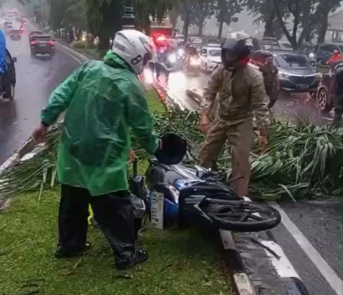 Tragis! Pemotor Tewas Usai Tertimpa Pohon Palem di Jalan Tegar Beriman Cibinong – jabarekspres.com