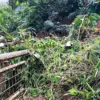 Longsor Lumpuhkan Akses Curug Malela, Wisata Ditutup Tanpa Batas Waktu