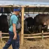 Bupati Sumedang Imbau Pelaksanaan Qurban Tak Pakai Kantung Plastik 