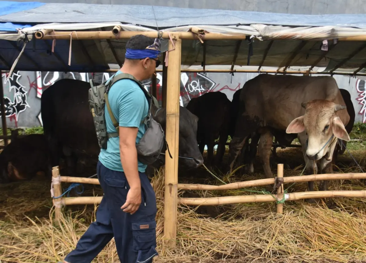 Bupati Sumedang Imbau Pelaksanaan Qurban Tak Pakai Kantung Plastik  – jabarekspres.com