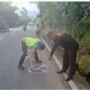 Diduga Langgar One Way, Mahasiswi Asal Depok Tewas Ditabrak Truk Box di Puncak Bogor