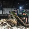 Pekerja mengolah sampah dari pasar di Pasar Induk Caringin, Kota Bandung, Minggu (10/5). Foto: Dimas Rachmatsy