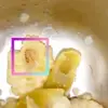 Tangkapan layar dari video yang beredar tentang adanya dugaan ulat dalam sajian menu MBG di Tasikmalaya