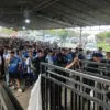 Jelang Laga Penting Persib Bandung, Bobotoh Mulai Padati Stadion GBLA