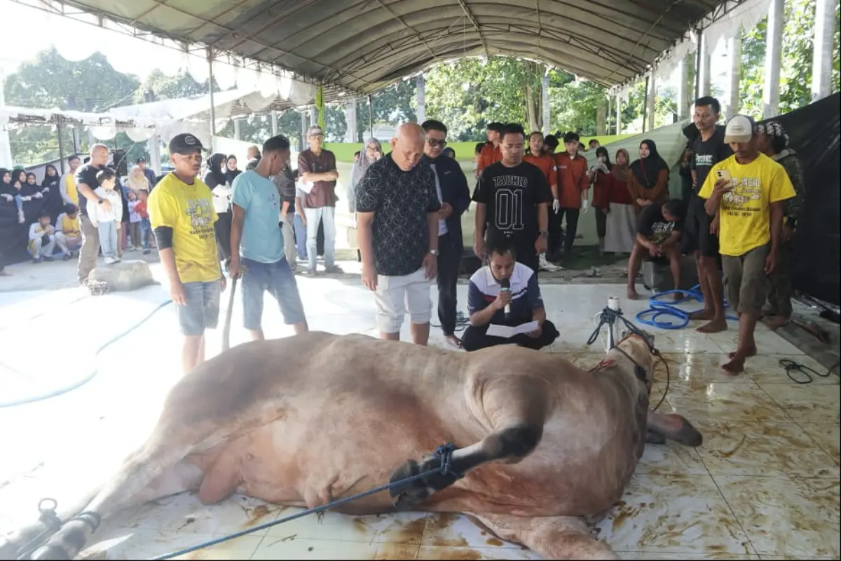Momen Iduladha 2026, UNIDA Bagikan Daging Kurban untuk 2.500 Warga – jabarekspres.com