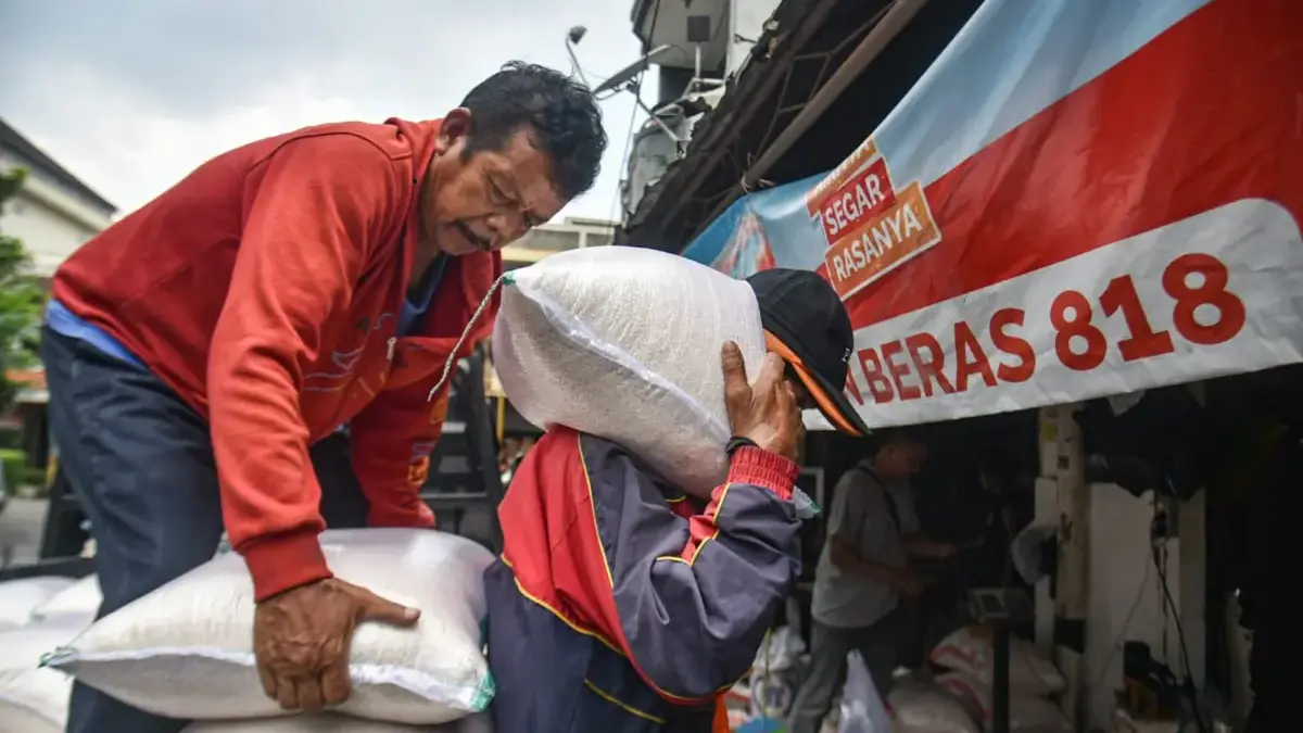 Harga Beras di Bandung Melonjak, Pedagang Kecil Terjepit 'Perang Ekonomi' Pedagang menurunkan karung beras dari mobil pickup di Jalan Cipaera, Kota Bandung, Jawa Barat, Selasa (5/5)