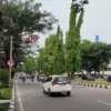 Pohon di Jalan Tegar Beriman. Foto : Sandika