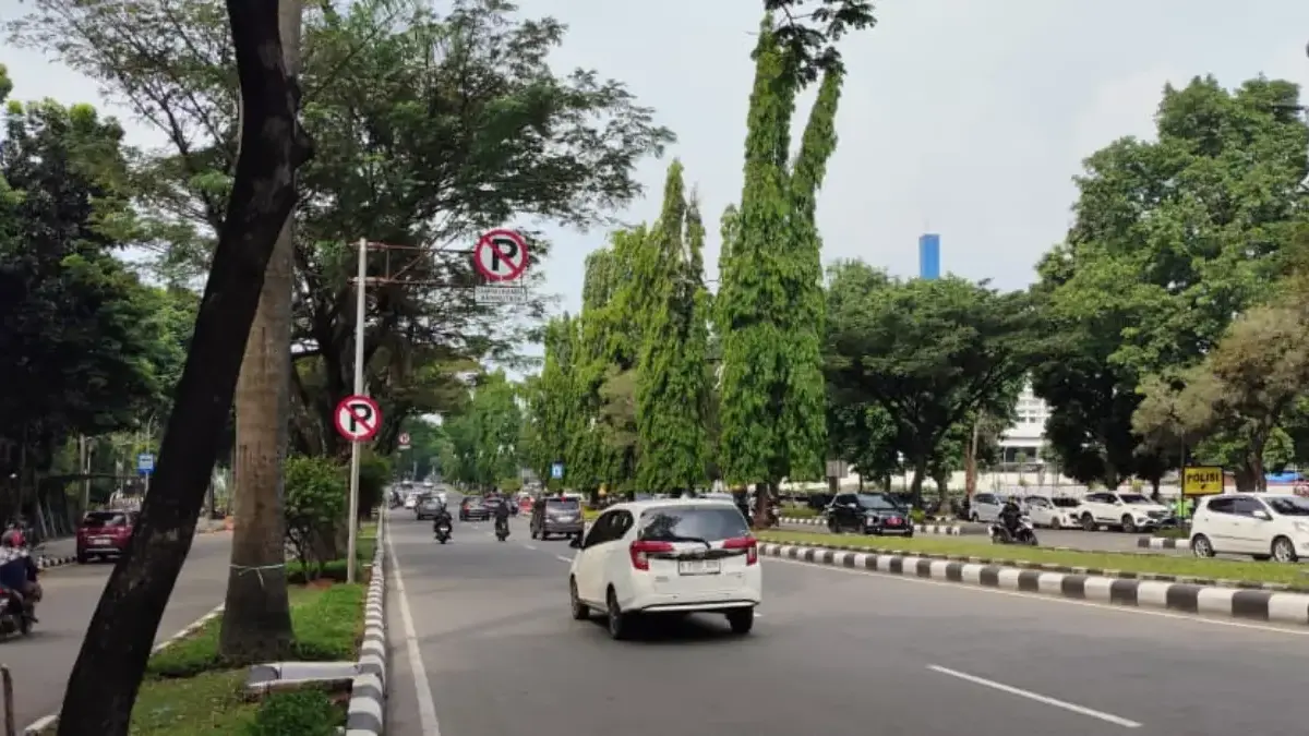 Pohon di Jalan Tegar Beriman. Foto : Sandika