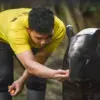 Belum Diputuskan Pengelola Baru, Dedi Mulyadi Tawarkan Opsi BUMD Kelola Bandung Zoo