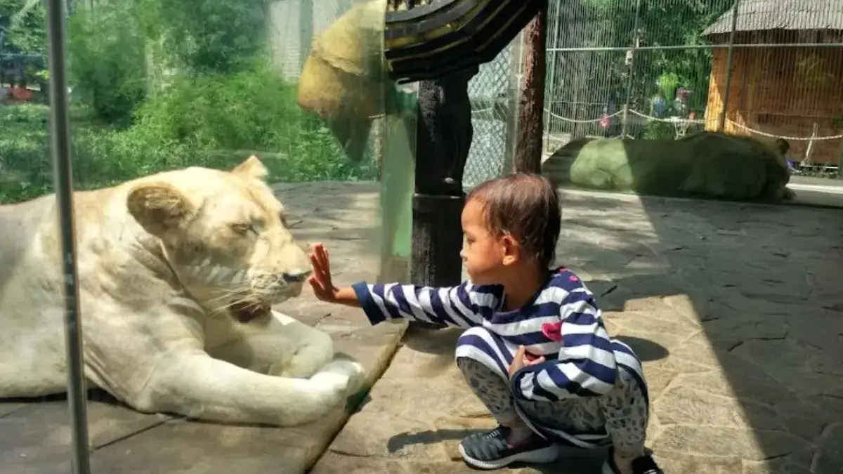 Liburan Seru Sekaligus Edukatif, Ini 9 Daya Tarik Faunaland Ancol yang Bikin Anak Betah