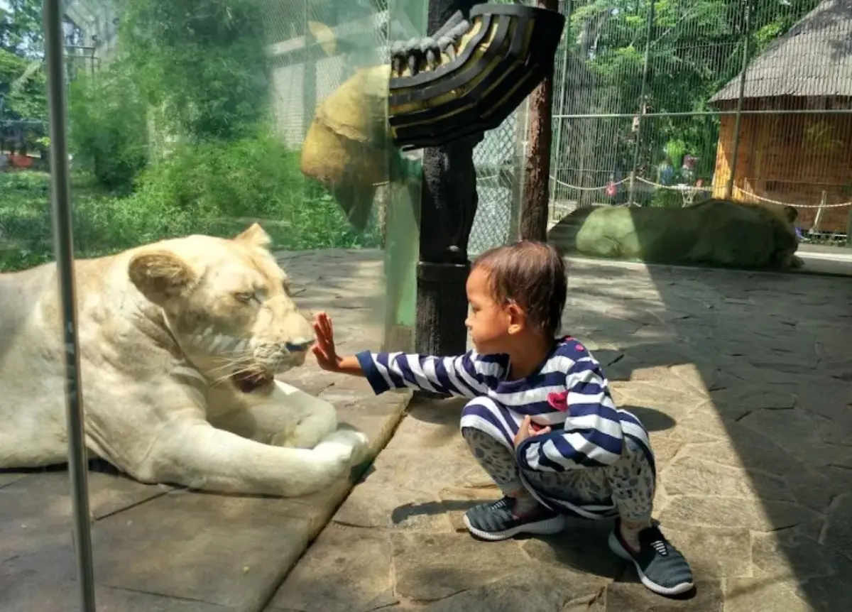 Liburan Seru Sekaligus Edukatif, Ini 9 Daya Tarik Faunaland Ancol yang Bikin Anak Betah – jabarekspres.com
