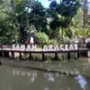 HUT ke-209, Kebun Raya Bogor Resmikan Taman Araceae Usai Direvitalisasi untuk Edukasi Publik 