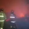 Peternakan di Cariu Bogor Ludes Terbakar, 60 Ribu Ayam dan 8 Domba Ikut Terpanggang dengan Kerugian 6,5 Miliar