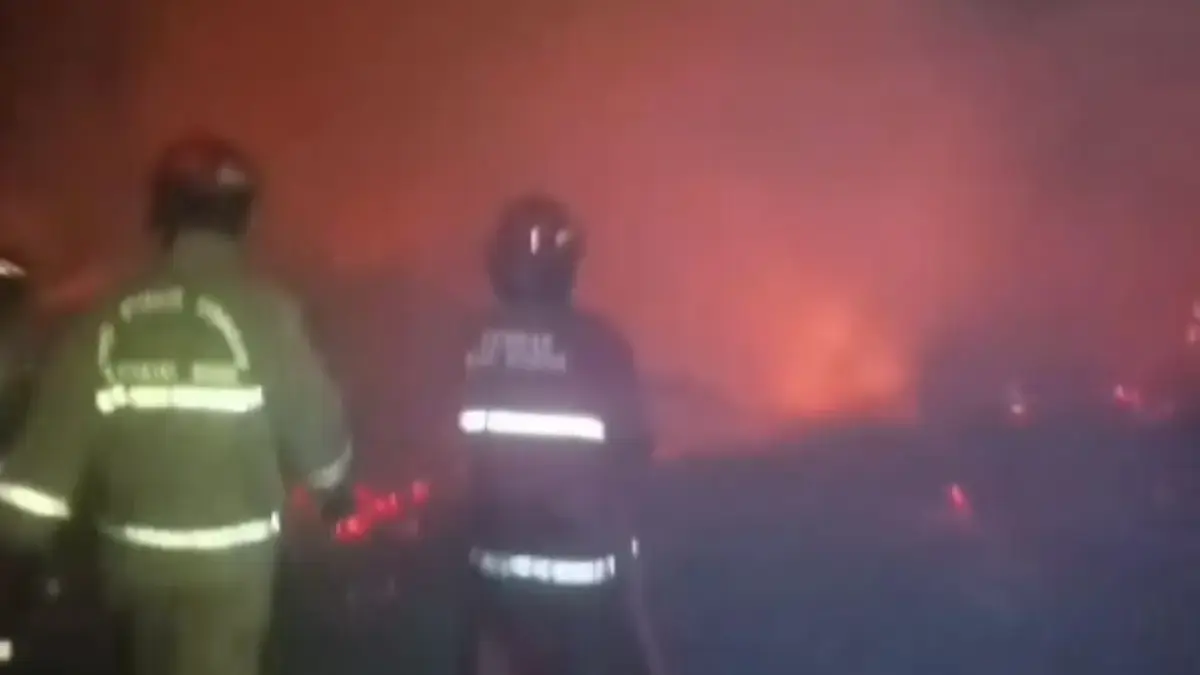 Peternakan di Cariu Bogor Ludes Terbakar, 60 Ribu Ayam dan 8 Domba Ikut Terpanggang dengan Kerugian 6,5 Miliar