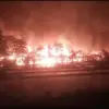 60 Ribu Ekor Ayam Mati Terpanggang dalam Kebakaran Peternakan di Cariu Bogor. FOTO: Damkar Kabupaten Bogor.