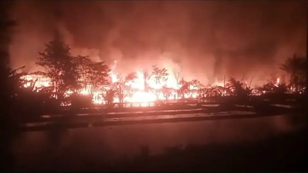 60 Ribu Ekor Ayam Mati Terpanggang dalam Kebakaran Peternakan di Cariu Bogor. FOTO: Damkar Kabupaten Bogor.