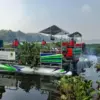 Eceng gondok di Waduk Saguling mulai diangkut menggunakan ponton untuk membersihkan area perairan dan menjaga