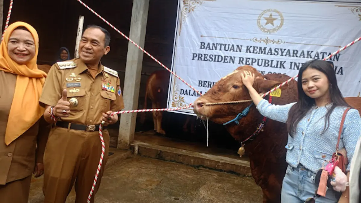 Bantuan Sapi Kurban Bernama "Dragon Ball" Seberat 1,1 Ton dari Presiden Prabowo Tiba di Cimahi Bantuan Sapi Kurban Bernama \"Dragon Ball\" Seberat 1,1 Ton dari Presiden Prabowo Tiba di Cimahi
