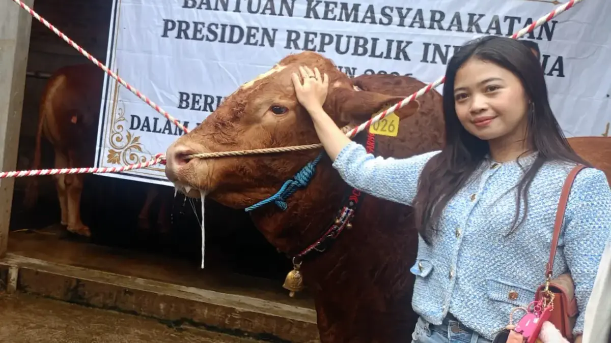 Peternak Cantik Jelita Bahagia Sapinya Dibeli Presiden Peternak Cantik Jelita Bahagia Sapinya Dibeli Presiden