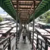 Bus AKAP Resmi Pindah ke Terminal Leuwipanjang, 80 Persen PO Mulai Beroperasi