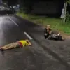 Warga terkapar usai perkelahian di kawasan Sumanding pada Rabu (27/5/2026). Ramai di media sosial kondisi itu
