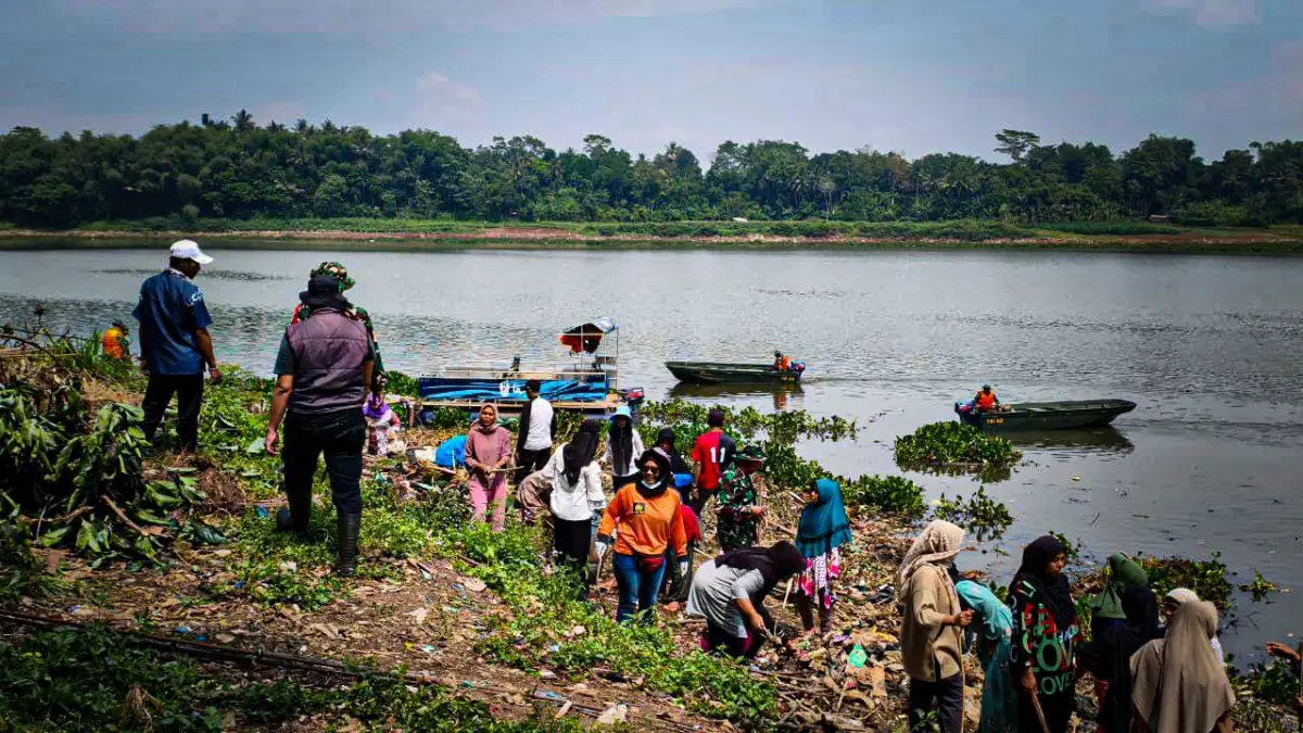 PLN IP UBP Saguling bersama lintas Stakeholder tengah membersihkan eceng gondok di Waduk Saguling. Dok istimew