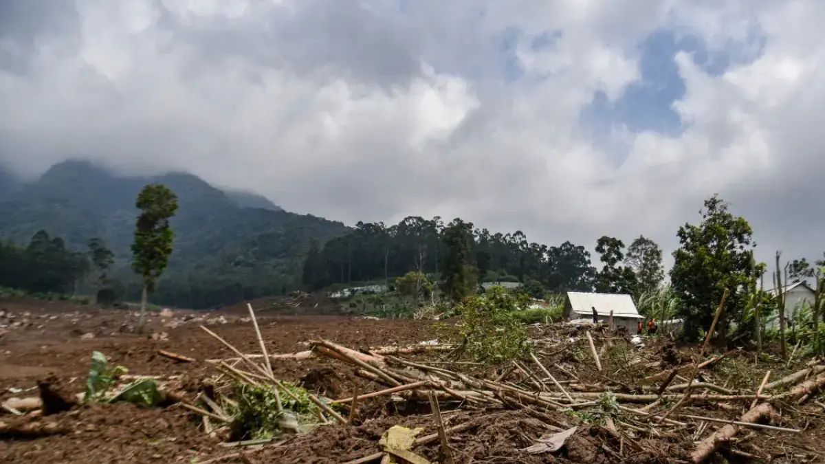 Pascabencana Longsor, 30 Hektare Lahan Pertanian di Pasirlangu Mulai Dipulihkan