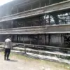 Kebakaran Kandang Ayam di Ciseeng, 150 Ribu Ekor Terpanggang, Kerugian Capai Rp15 Miliar. FOTO: Polsek Parung.