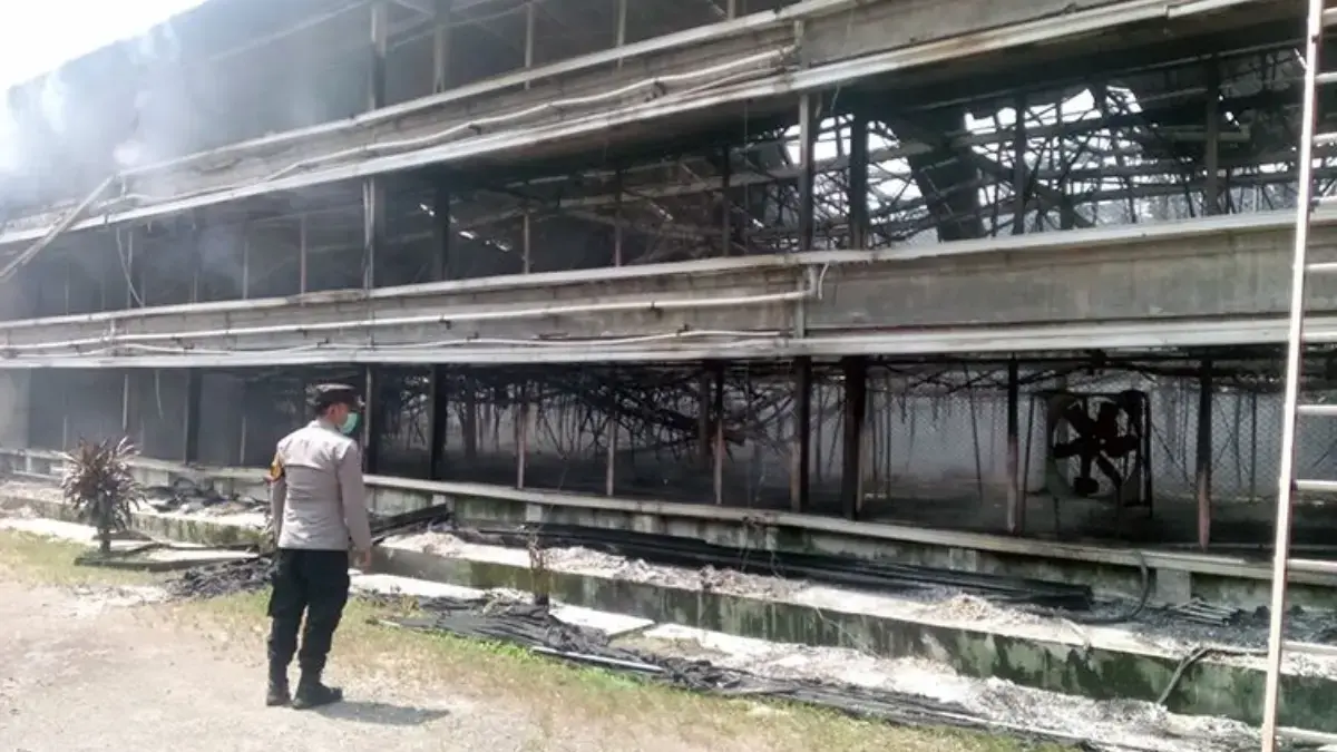 Kandang Ayam di Ciseeng Terbakar, 150 Ribu Ekor Mati hingga Rugi Rp15 Miliar Kebakaran Kandang Ayam di Ciseeng, 150 Ribu Ekor Terpanggang, Kerugian Capai Rp15 Miliar. FOTO: Polsek Parung.