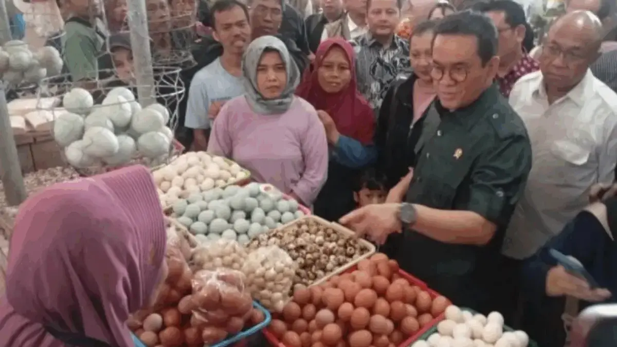 Konsumen dan Prodesen Sama-sama Dilindungi, Pemerintah Jaga Stabilitas Harga Bahan Pokok Konsumen dan Prodesen Sama-sama Dilindungi, Pemerintah Jaga Stabilitas Harga Bahan Pakai Pokok