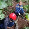 Damkar Kabupaten Ciamis saat mengevakuasi ular sanca berukuran 2,2 meter di kandang milik warga, Jumat (5/6/20
