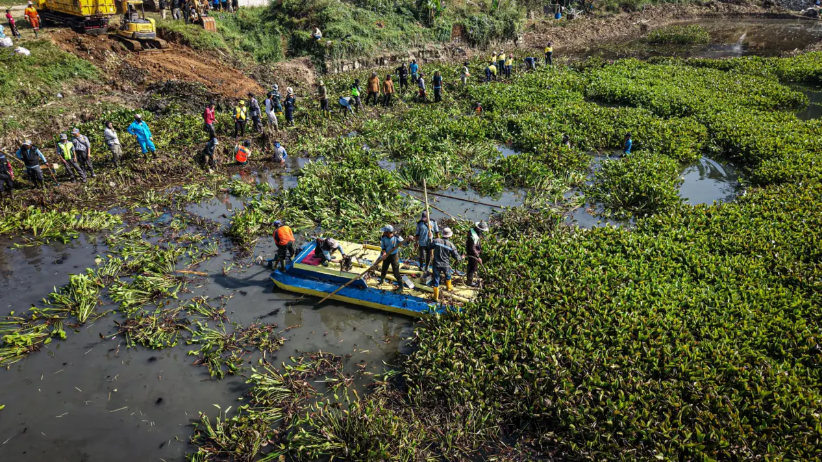 Pemkab KBB Fokus Penanganan Eceng Gondok di Dua Desa Sekitar Waduk Saguling
