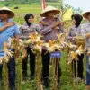Kawal Ketahanan Pangan, Satreskrim Polres Tasikmalaya Awasi Perkembangan Perkebunan Jagung