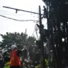 Penataan Kabel Udara Dipercepat, Pemkot Bandung Pastikan Tak Ganggu Layanan Internet dan Publik